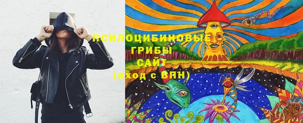 spice Алексеевка
