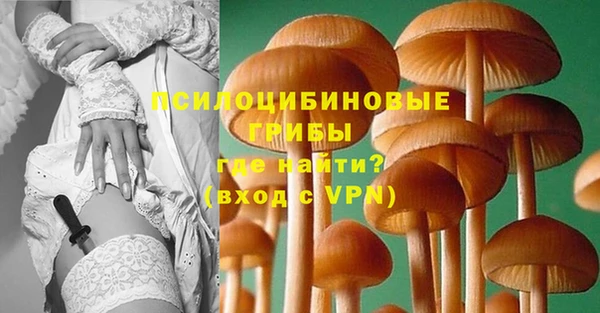 spice Алексеевка