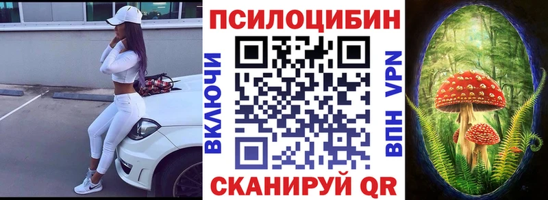 купить закладку  Алупка  Галлюциногенные грибы мицелий 